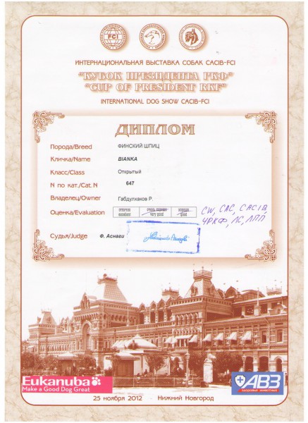 Диплом САСИБ Н Новгород.jpg