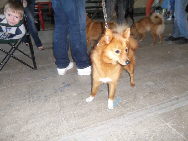 100_3334.JPG