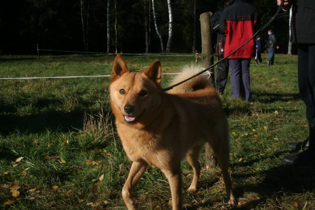 img0068.JPG