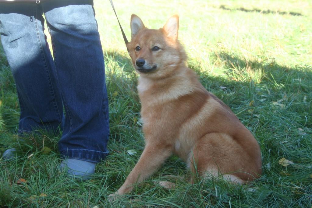 Айникки.JPG