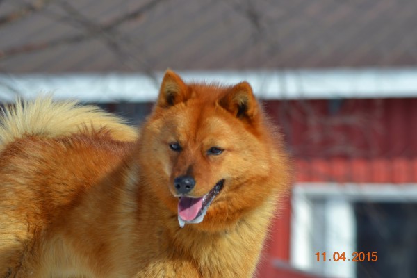 DSC_0843.JPG