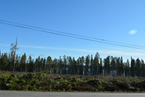 DSC_4917.JPG