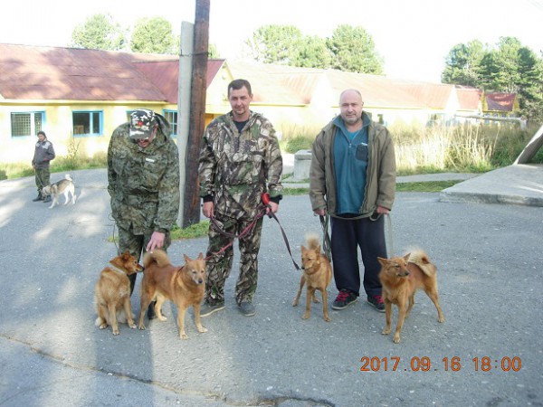 семинский суомен.jpg