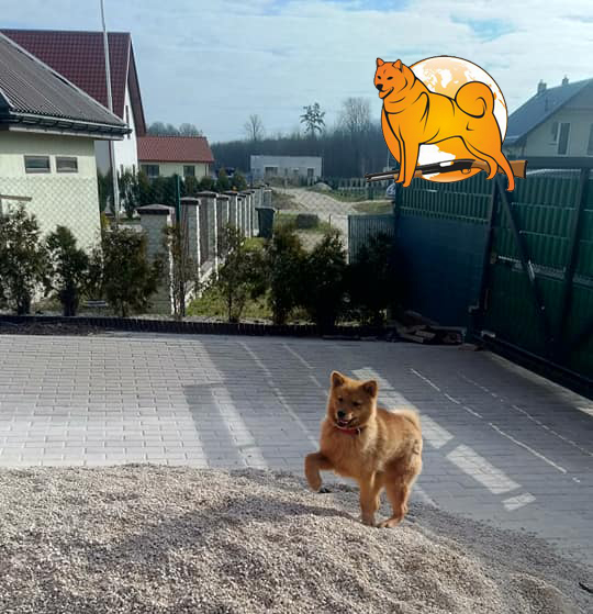 64_1.jpg